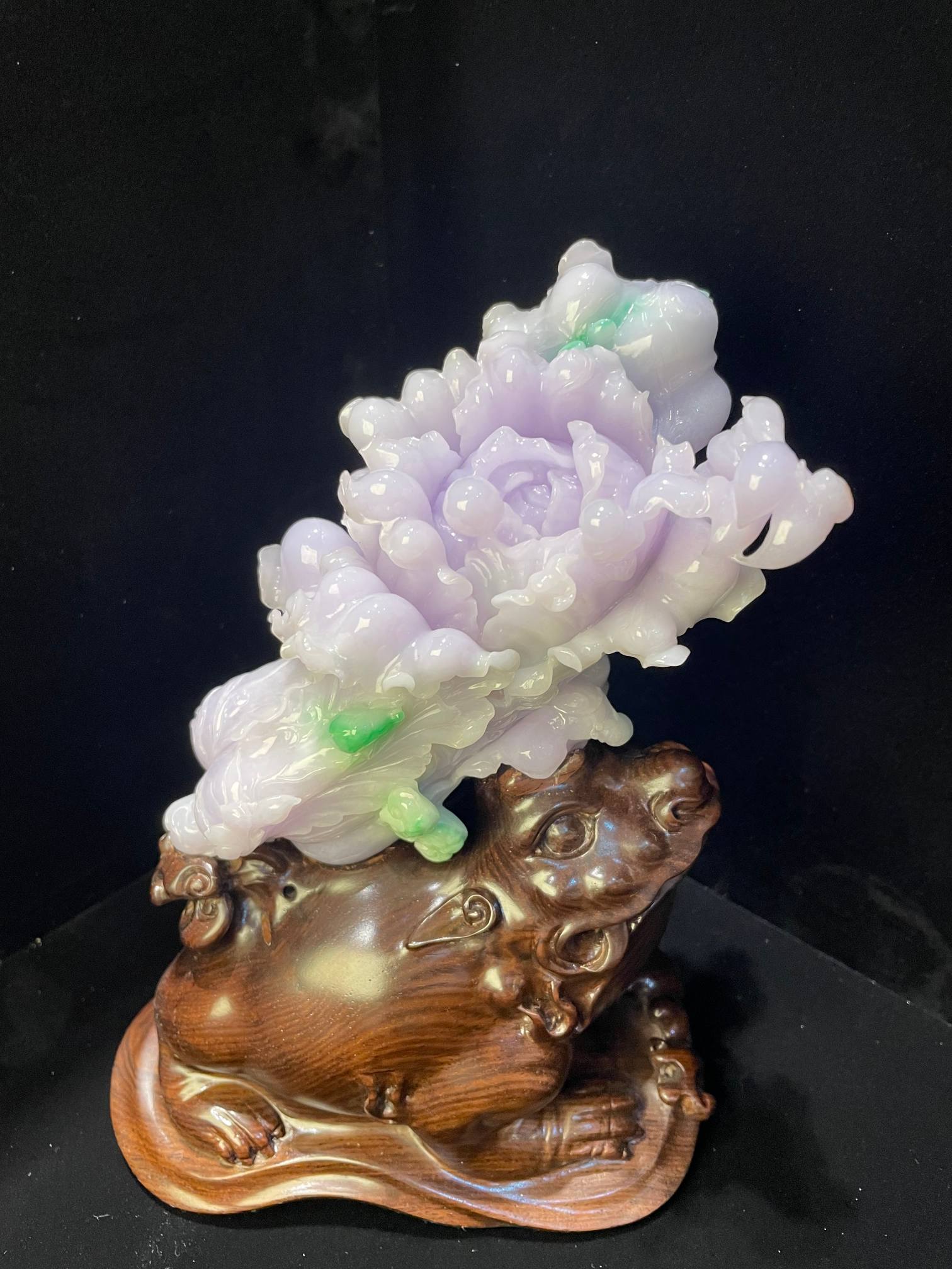 新品发布- 香港星翠集团贸易有限公司